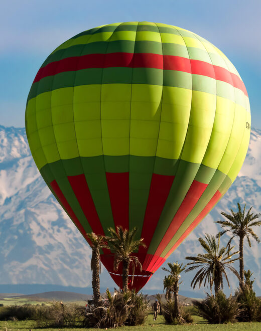vertical_520_780 (1)